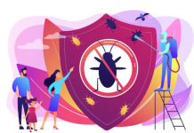 Health Risks Associated with Cockroach Activity in Tacoma