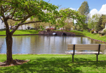 Effective Aeration Systems and Comprehensive Pond Management Techniques