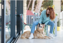 How Dog Boarding Can Enhance Your Pet’s Socialization